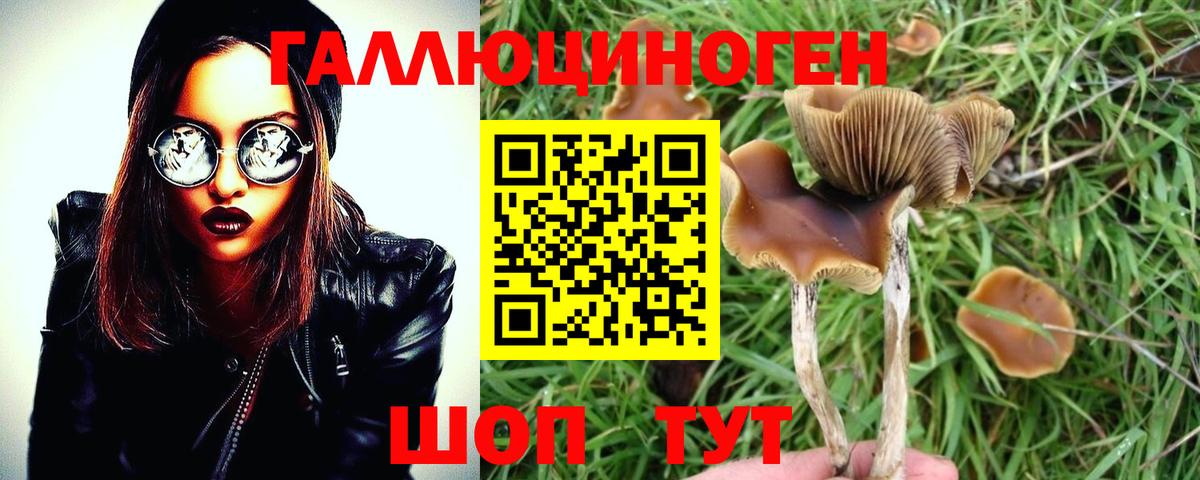 Псилоцибиновые грибы ЛСД Златоуст
