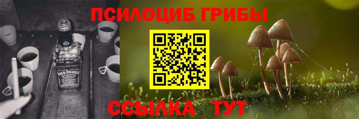 Галлюциногенные грибы Psilocybe  Вход с VPN  Галлюциногенные грибы Psilocybe  Златоуст 