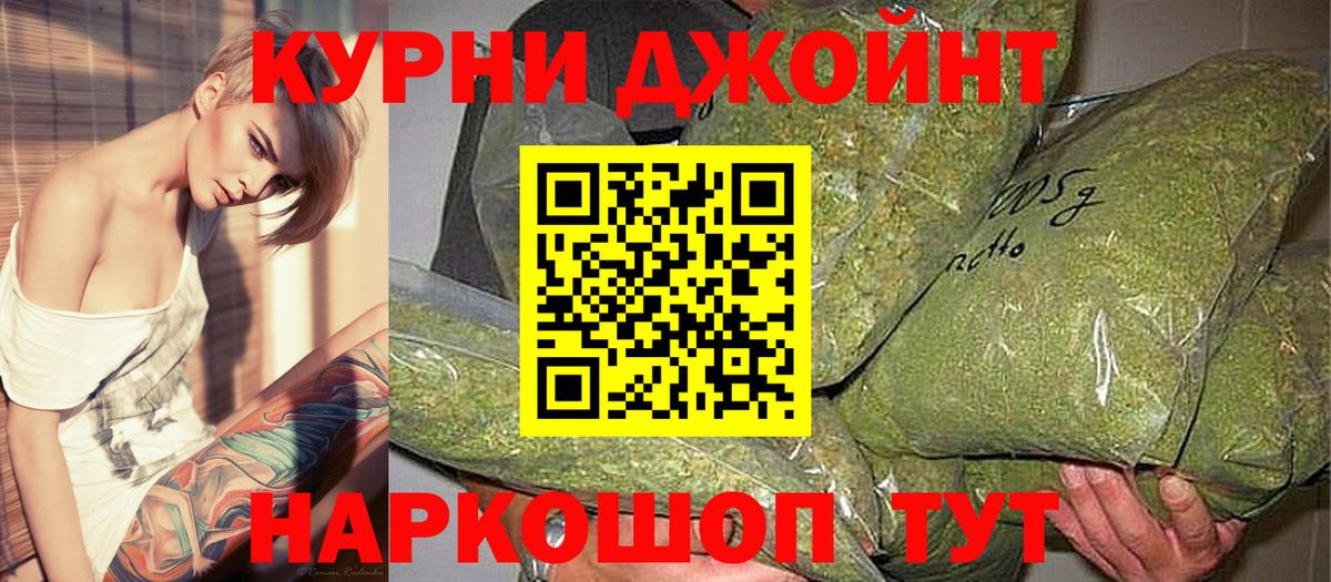 Конопля сатива Златоуст